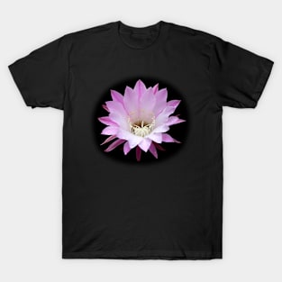 Cactus Flower in the Rain T-Shirt